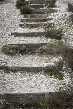 Timber steps on a gravel pathway