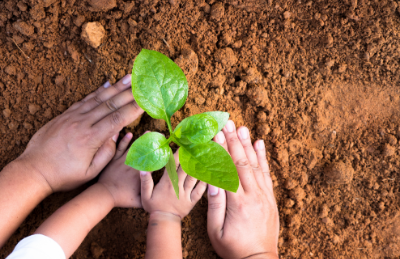 Getting Your Hands Dirty in the Garden